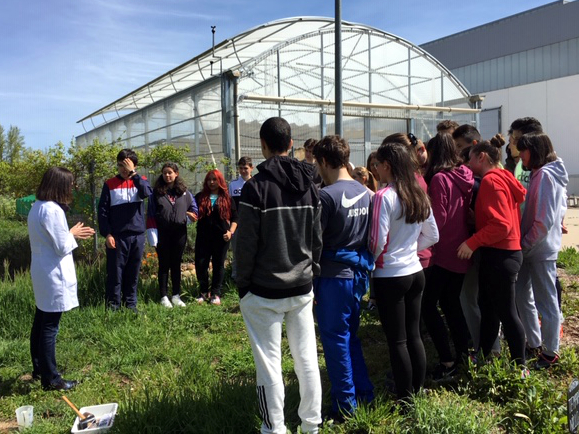 Alumnos del IES Diego Porcelos conocen el Grado en Ingeniería Agroalimentaria