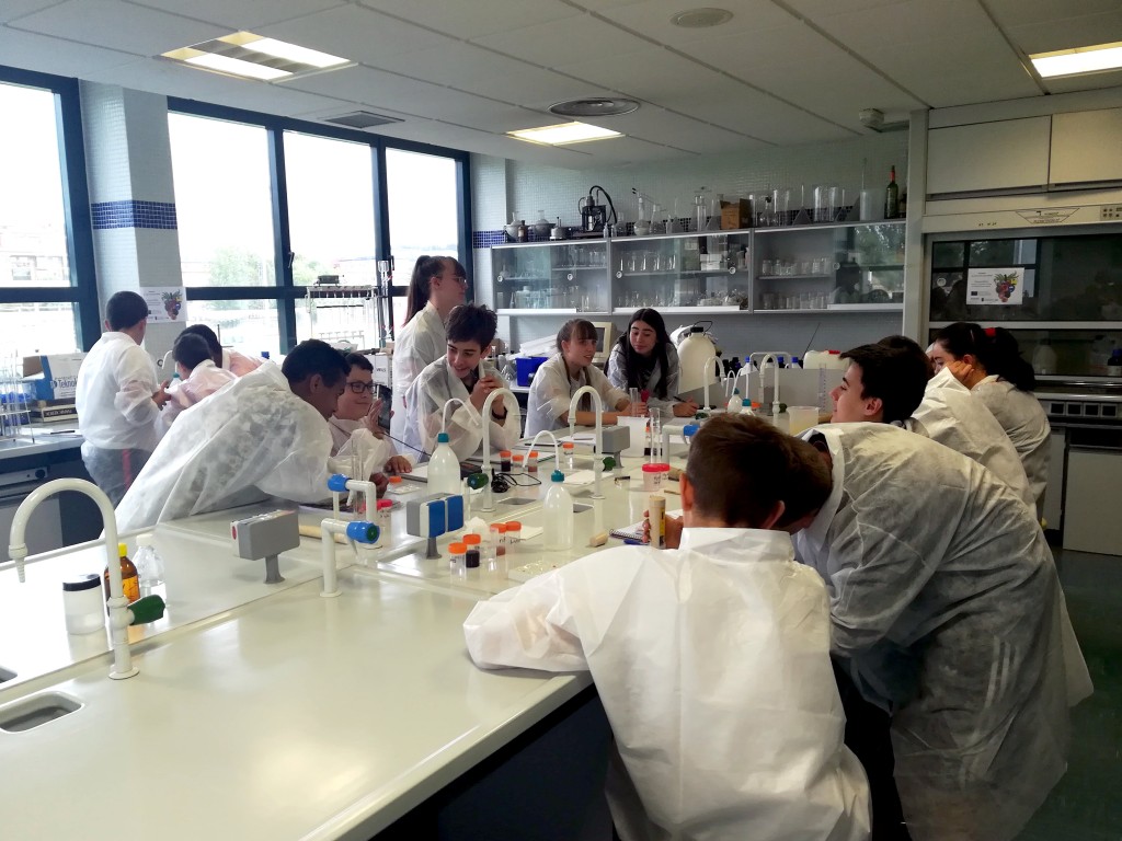 Un grupo de alumnos de colegio Aurelio Gómez Escolar realizó un taller de enocultura