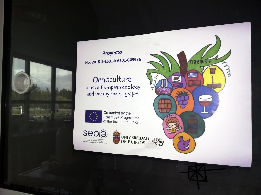 Un grupo de alumnos de colegio Aurelio Gómez Escolar realizó un taller de enocultura