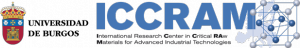 Logo ICCRAM