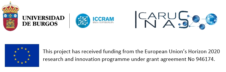 Universidad de Burgos, ICCRAM International Research Center in Critical Raw Materials for Advanced Industrial Techonologies, IcarusNas, This project has received funding from the European Union's Horizon 2020 ressearch and innovation programe under grant agreement No 946174 