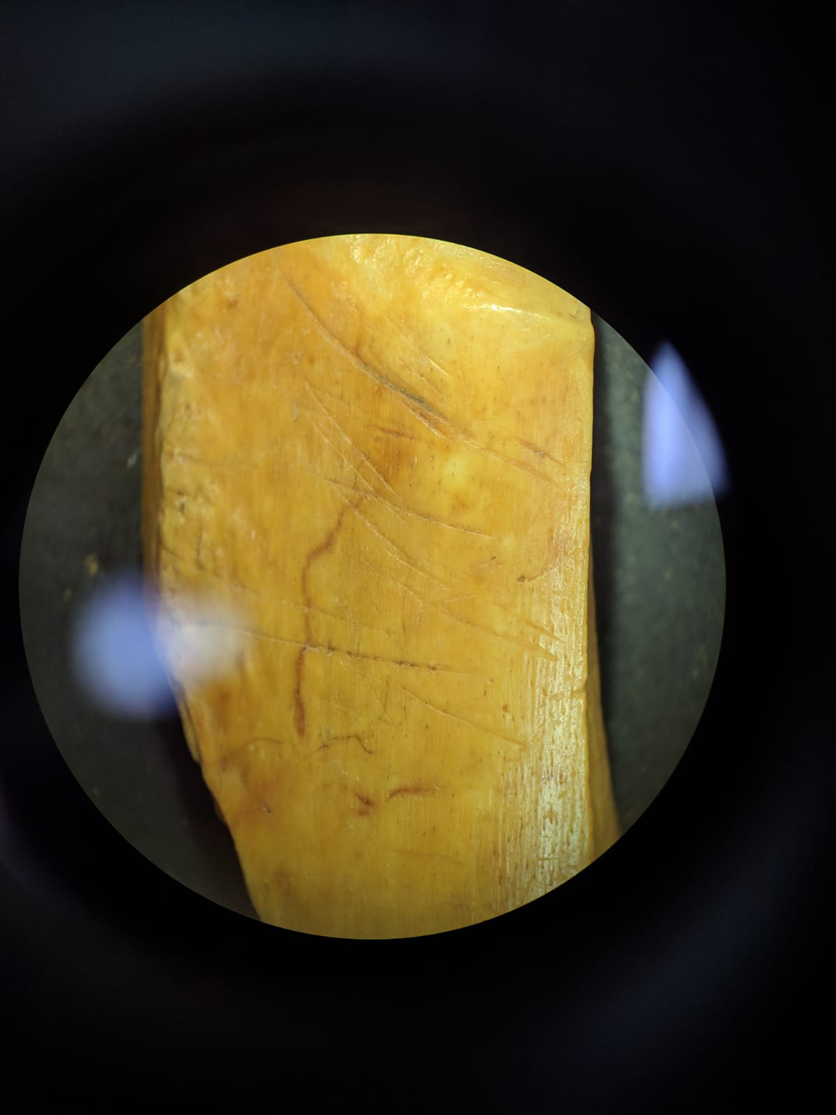 marcas de corte sobre fragmento de hueso nivel 4