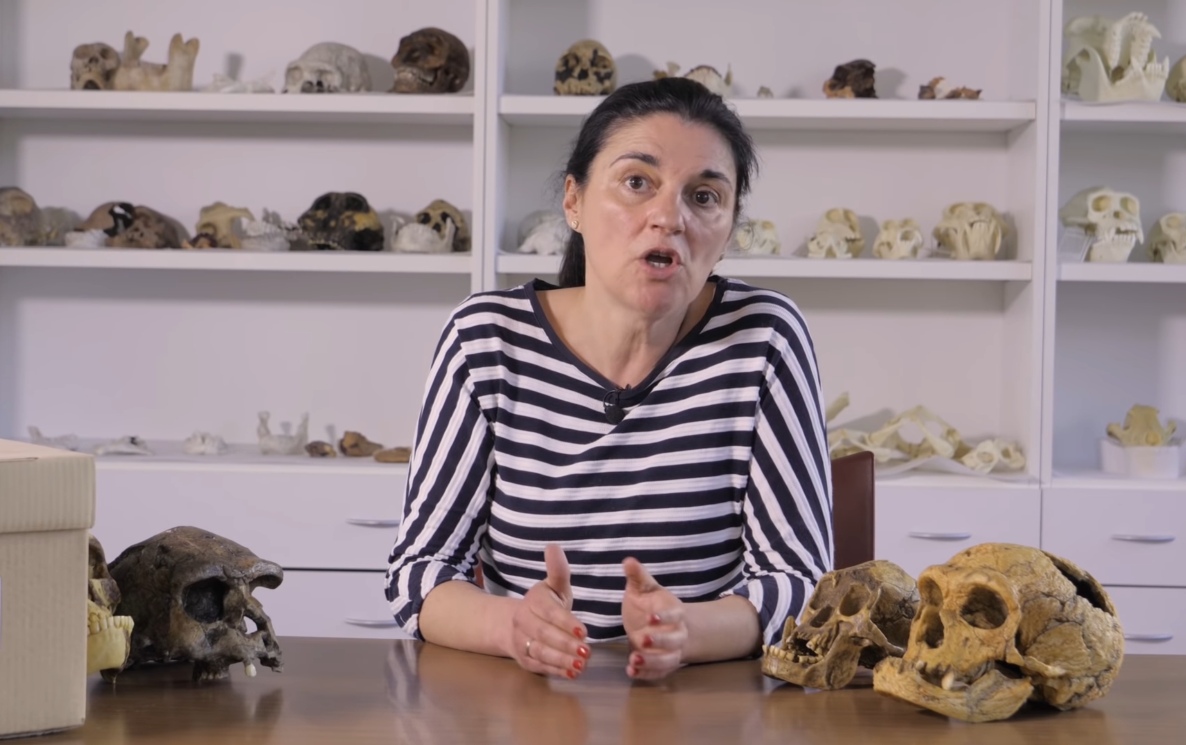 Especie Humana Descubrimiento