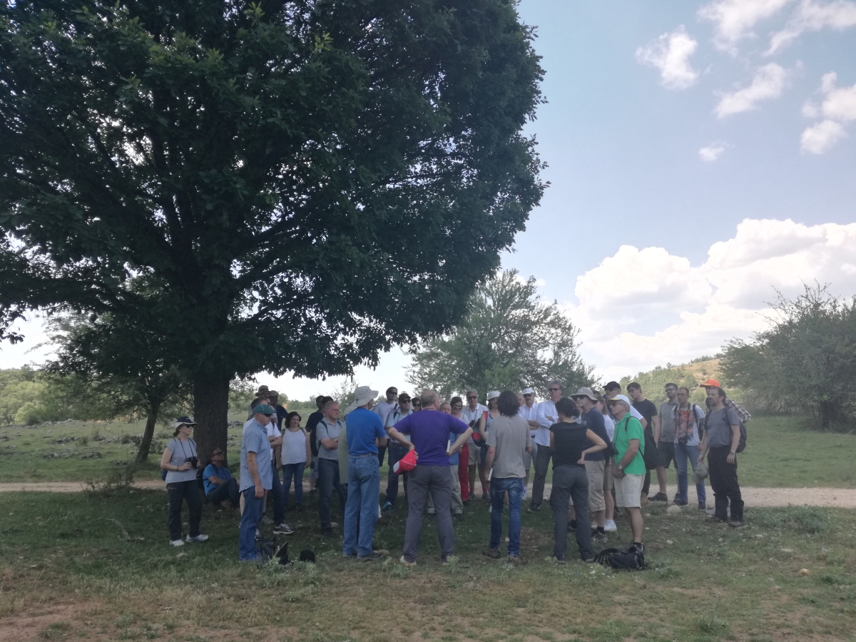 Jornada de Naturaleza. Presa de Castrovido y el entorno de Salas de los Infantes
