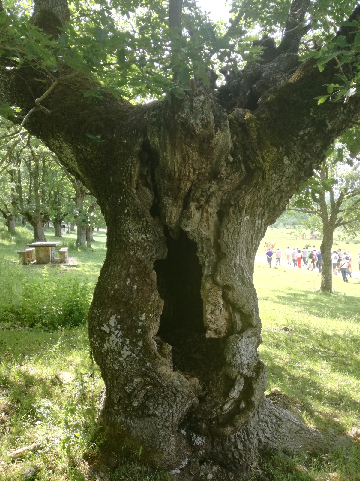 Jornada de Naturaleza. Presa de Castrovido y el entorno de Salas de los Infantes