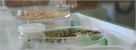 Tecnología de los Alimentos (TECNOFOOD ) Tecnología de los Alimentos (TECNOFOOD )