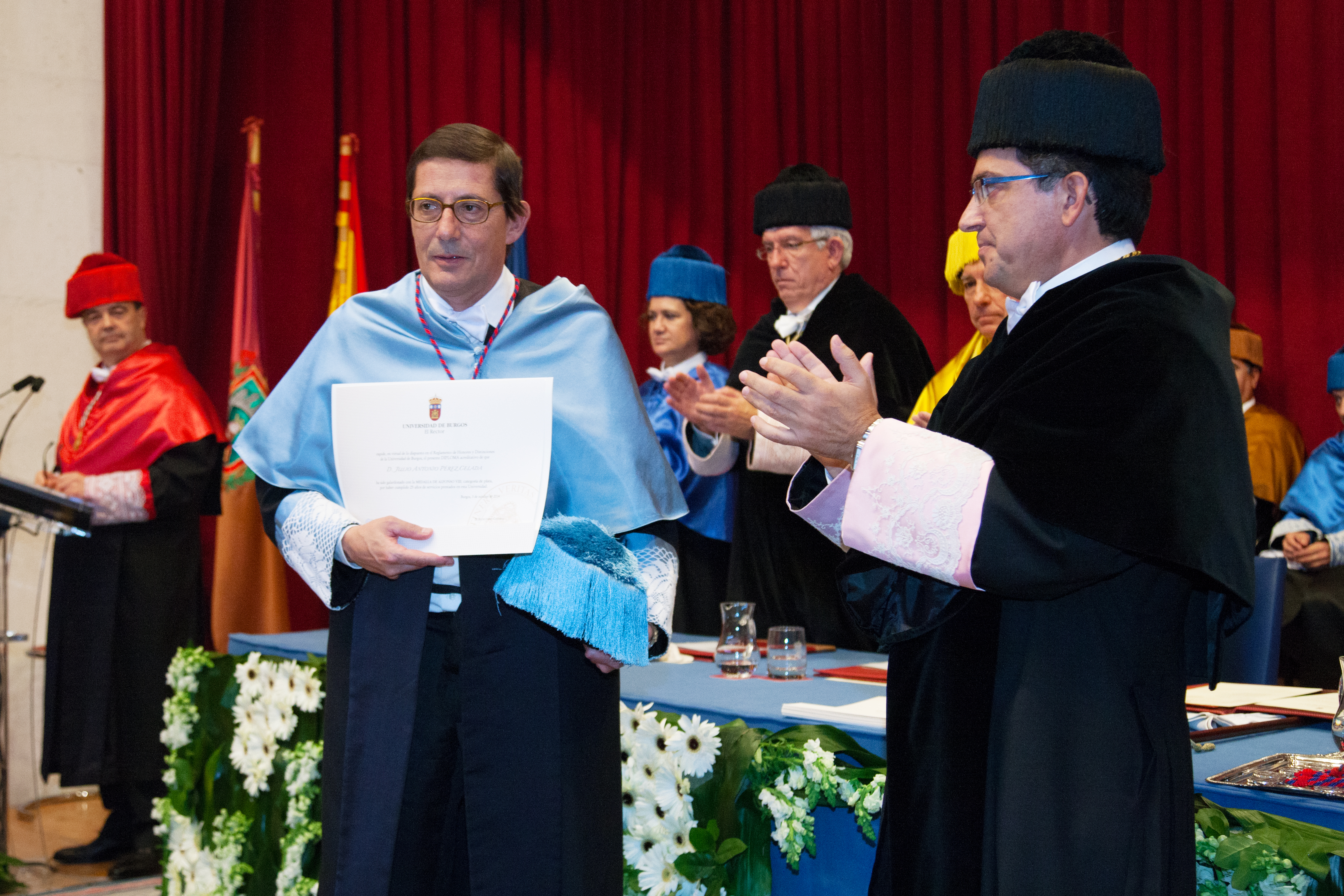 Dr. D. Julio Antonio Pérez Celada