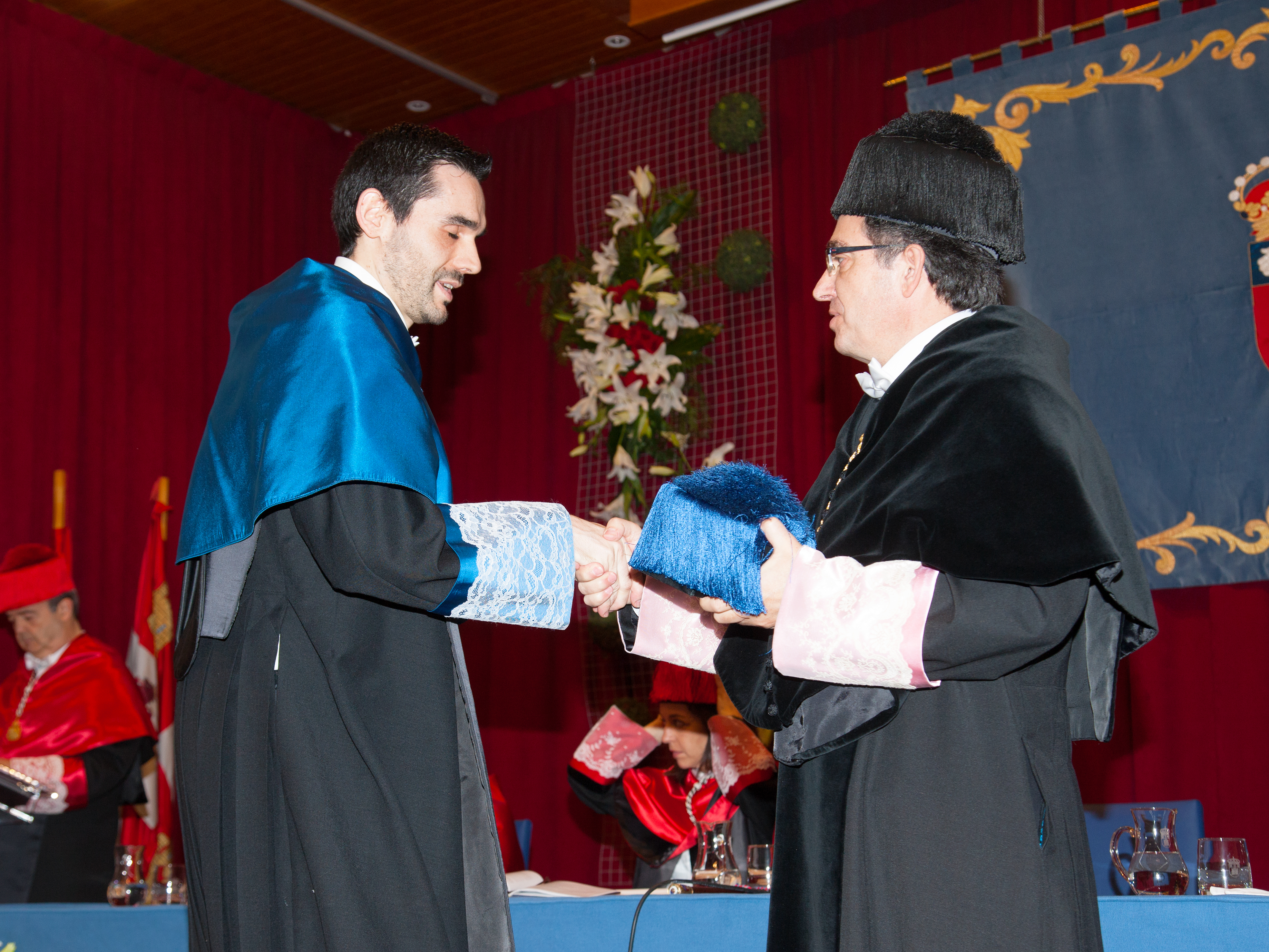 Dr. D. David Ibáñez Martínez