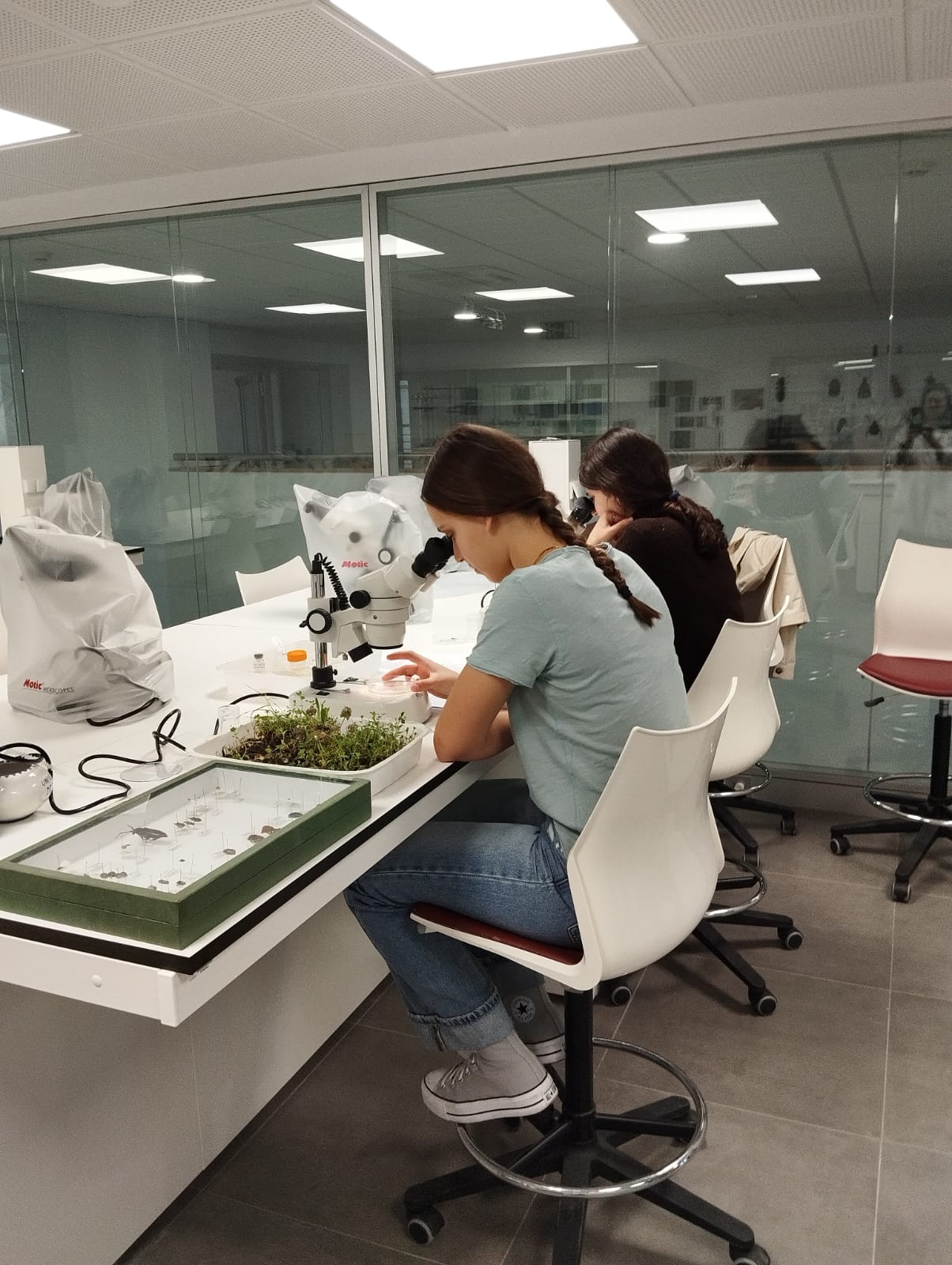 qué quiero ser de mayor