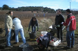 compost