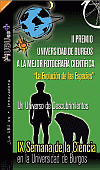 concurso fotografía científica