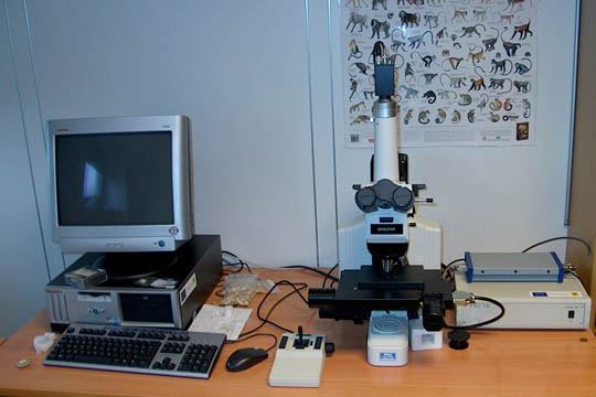 lino reservorio En cualquier momento Microscopía Láser ConFocal (MLCF) | Universidad de Burgos