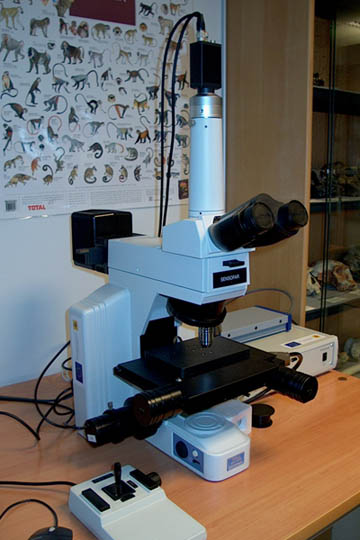 lino reservorio En cualquier momento Microscopía Láser ConFocal (MLCF) | Universidad de Burgos