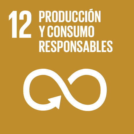 12 producción y consumo responsables