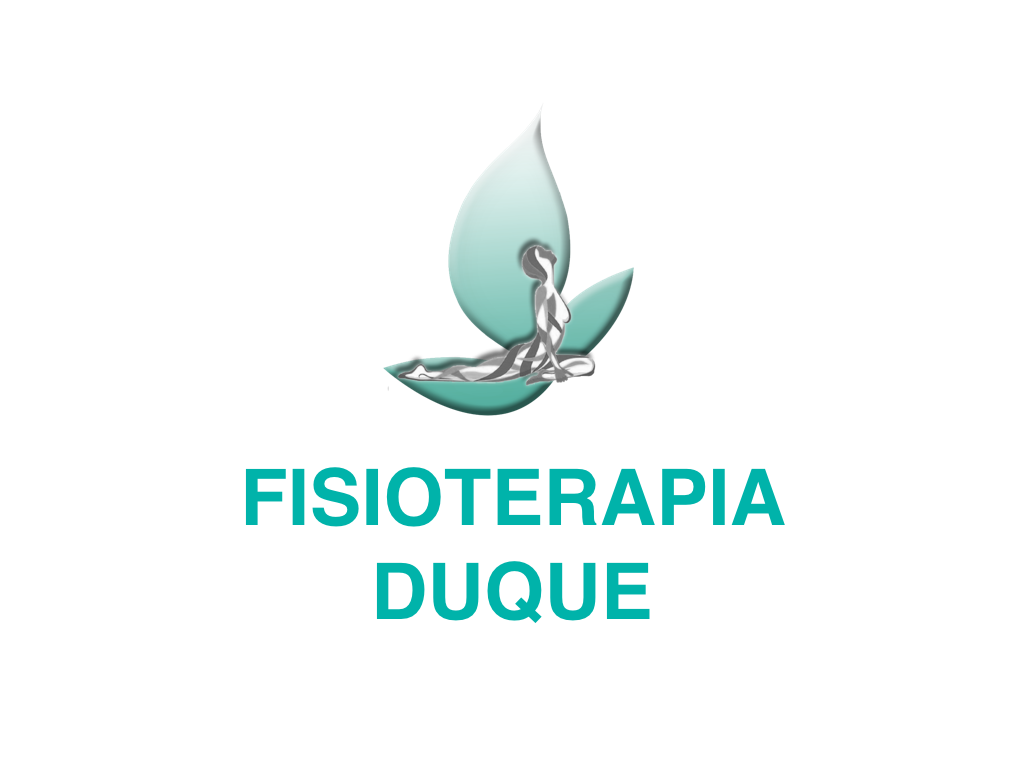Logo Fisioterapia Duque