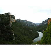 obarenes