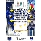 Cartel Seminario VI