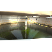Un estudio indica que las microalgas pueden ser utilizadas como biofertilizantes