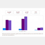 Gráfico. Resumen de las consultas, peticiones e incidencias del servicio de informática en el periodo de pandemia