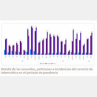 Gráfico. Detalle de las consultas, peticiones e incidencias del servicio de informática en el periodo de pandemia
