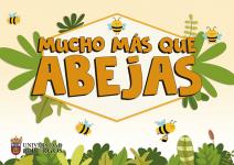 Imagen de la publicación: Mucho más que abejas