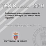 Imagen de la publicación: Edafogénesis en escombreras mineras de la provincia de Burgos y su relación con la vegetación