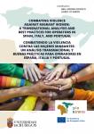 Imagen de la publicación: Combating Violence Against Migrant Women: A Transnational Analysis and best practices for Operators in Spain, Italy and Portugal.