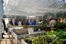 Día del Voluntariado Ambiental
