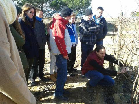 Visita D.O. Ribera del Duero