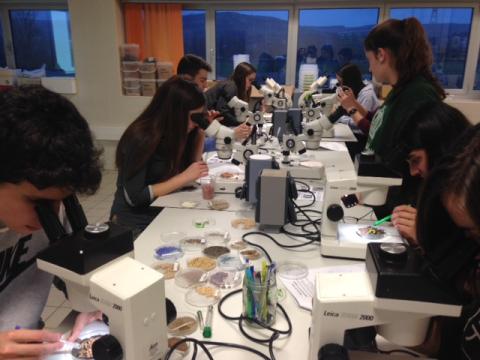 Un Mundo Bajo Tus Pies