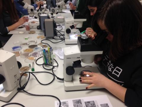 Un Mundo Bajo Tus Pies