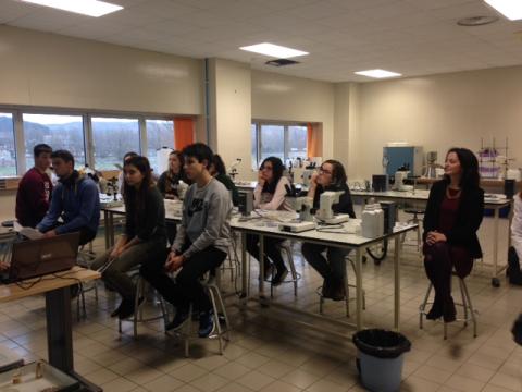 Un Mundo Bajo Tus Pies