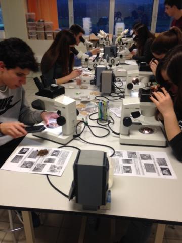 Un Mundo Bajo Tus Pies