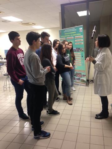 Un Mundo Bajo Tus Pies